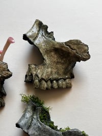 Image 4 of Skull Fragments (wall art)