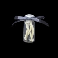 Image 3 of cane toad partia skull/mix bone jars