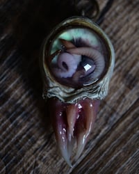 Image 14 of Nebula Hatchling Snaggletooth Pendant - Handmade,  2" OOAK