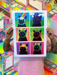 Gatitos tontitos