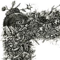 Image 4 of R Decorative - Print