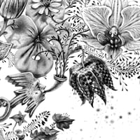 Image 4 of Bird Call - Print