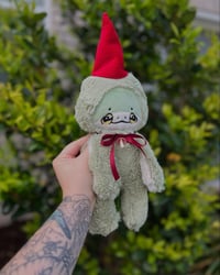 Image 3 of Gnome Frog