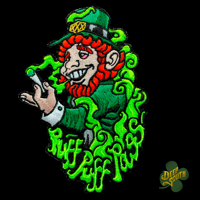 Spencer the Leprechaun 