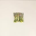 Tiny Art Keepsake Cards 