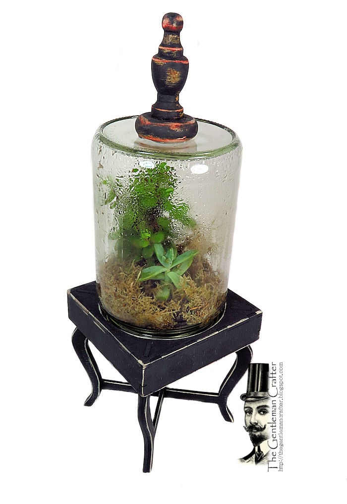 Image of The Terrific Terrarium Kit