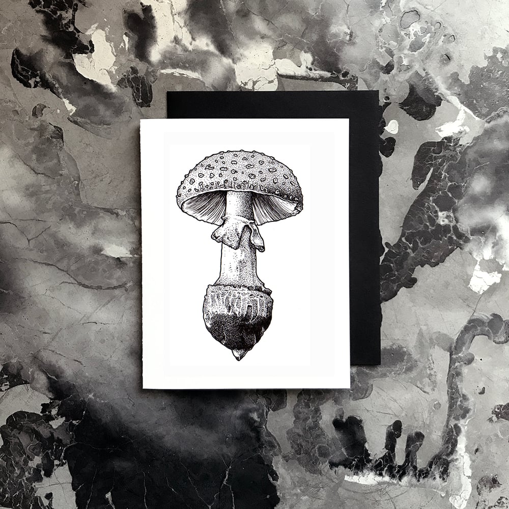 Image of Mushroom Card / Small Print
