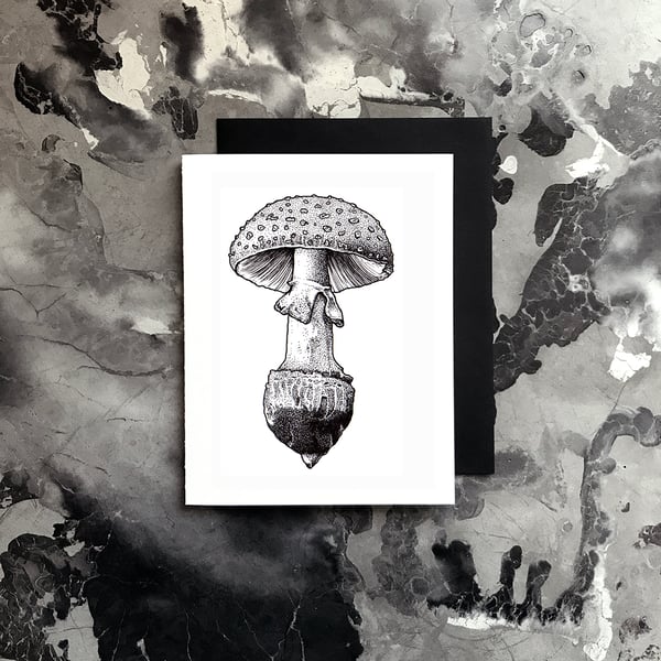 Image of Mushroom Card / Small Print