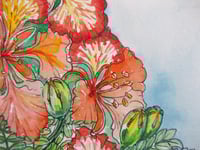 Image 3 of Royal Poinciana spray