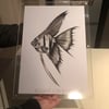 A3 Angelfish Print