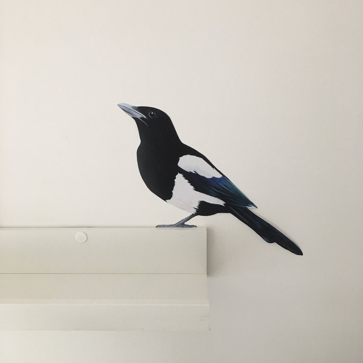 Image of Morwenna Magpie ~ Wall sticker 