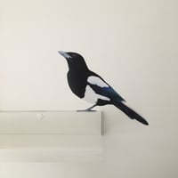 Image 4 of Morwenna Magpie ~ Removable Wall sticker