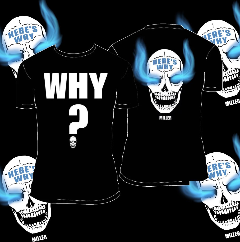 Image of 'Why' Skull T-Shirt