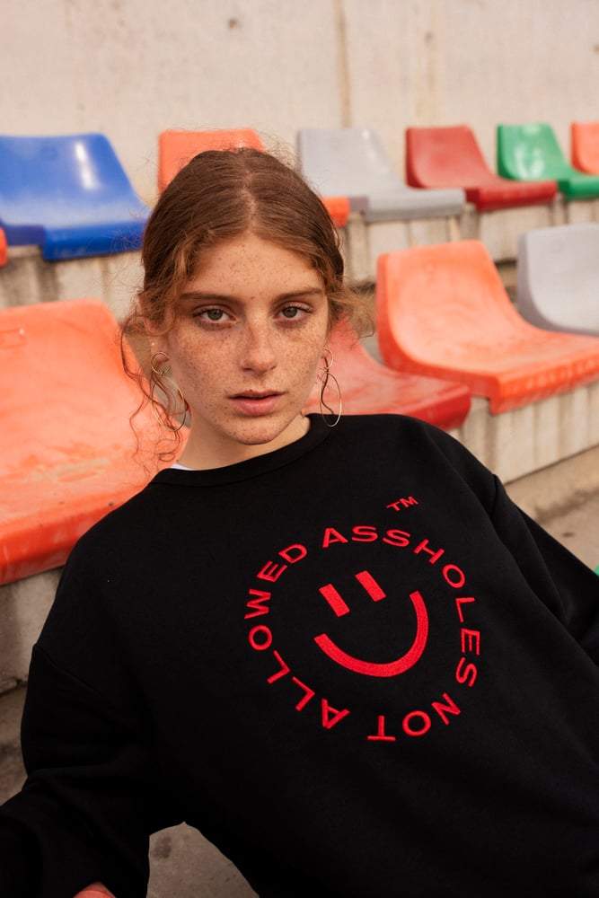 Image of ASSHOLES NOT ALLOWED