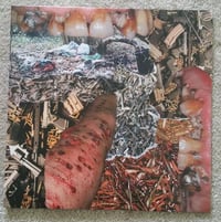 Image 1 of Mania/Deterge - Lay Waste/Future Of Pulse LP