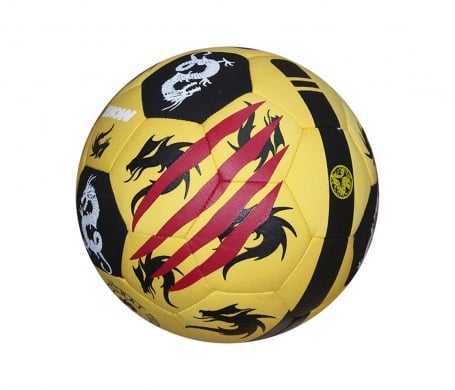 Image of Bruce Lee Freestyle Ball