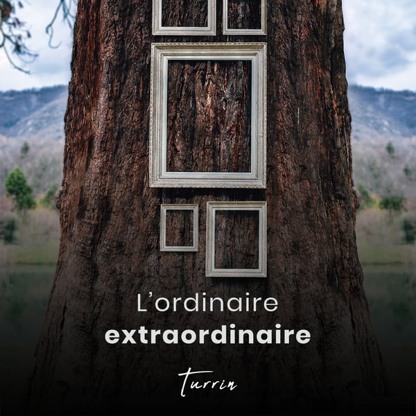 Image of Album - "L'ordinaire extraordinaire"