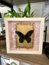 Pink/Gold Butterfly Box