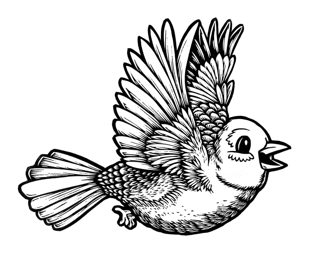 Flying Robin wings UP T-shirt (A3)**FREE SHIPPING**