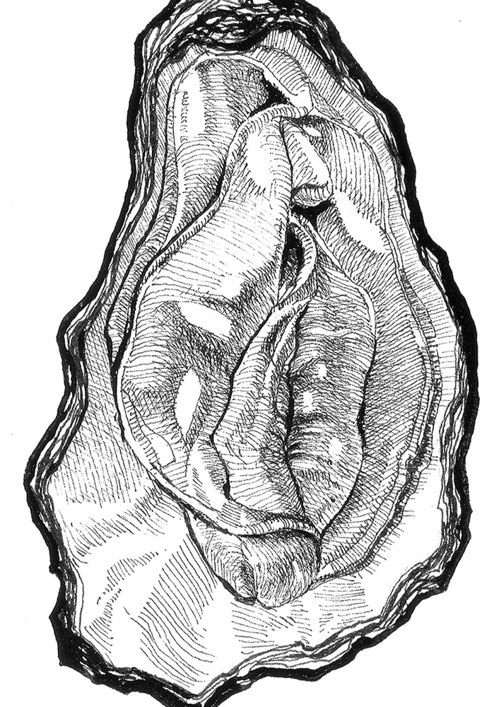 Image of Oyster 