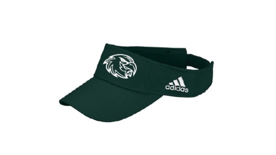 falcons visor