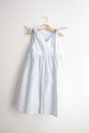 Rabbit Dress- pale blue pattern