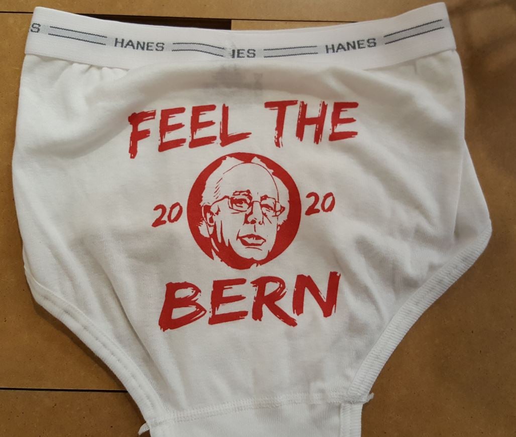 Image of Bernie Briefs - Bernie Sanders Underwear - Feel The Bern - Bernie for President 2020