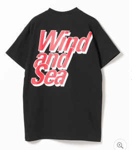 Image of WIND AND SEA tee