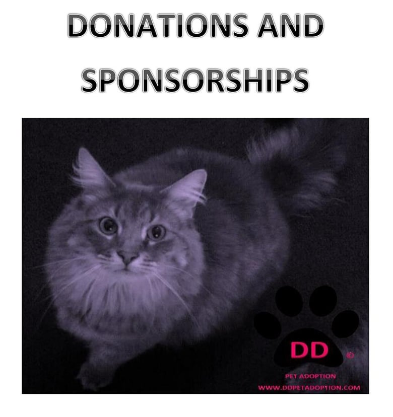 Image of DD PET ADOPTION SPONSOR/DONATIONS FOR RESCUES AND FOSTERS