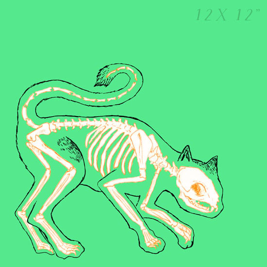 Cat - Skin and Bones series