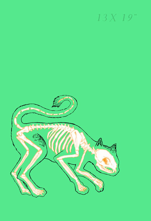 Cat - Skin and Bones series