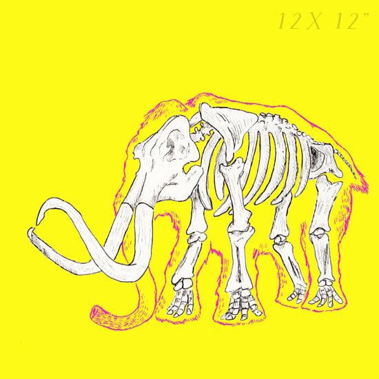 Yellow Mammoth - Skin and Bone series 