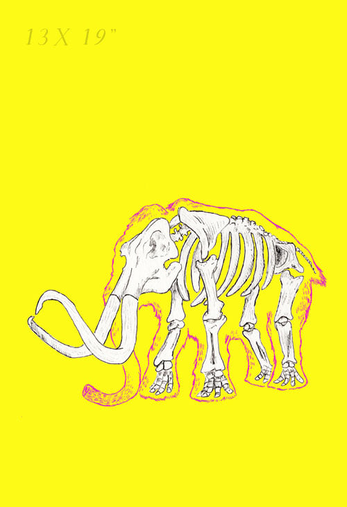 Yellow Mammoth - Skin and Bone series 