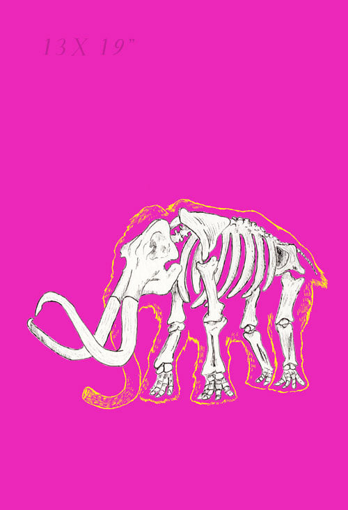Mammoth - Skin and Bone series