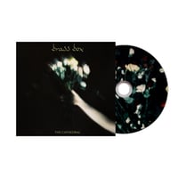 Image 3 of Brass Box T-Shirt + CD Bundle (pre-order exclusive)