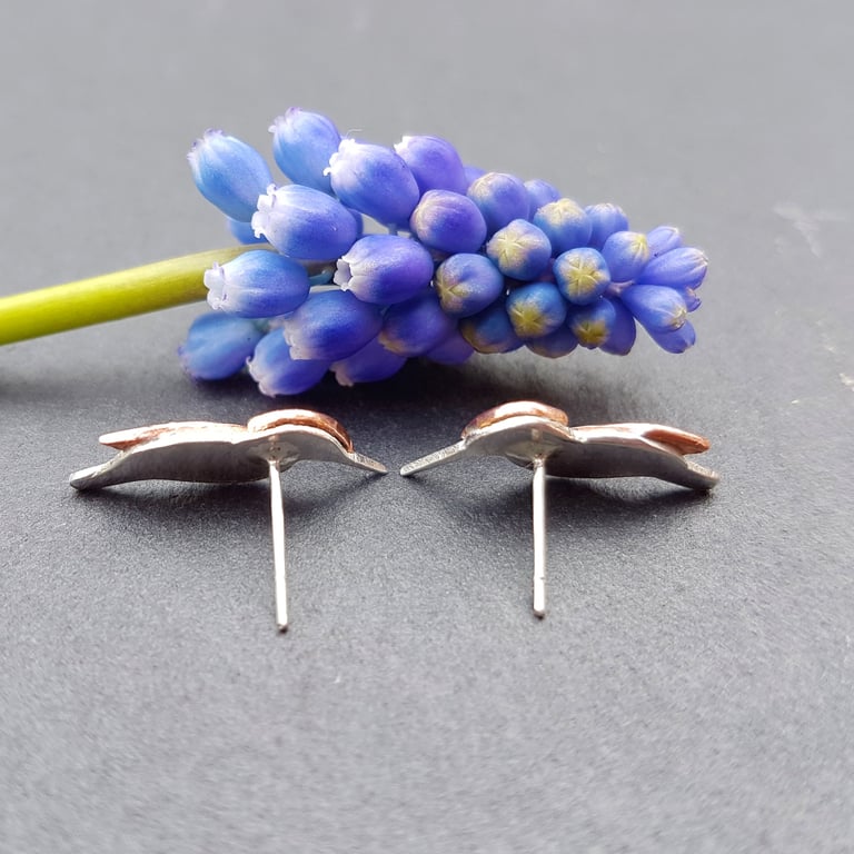 Kingfisher Stud Earrings Image 2