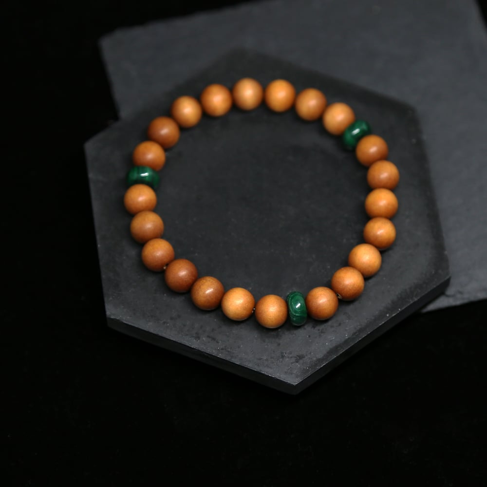 Image of 森之堺 | Forest