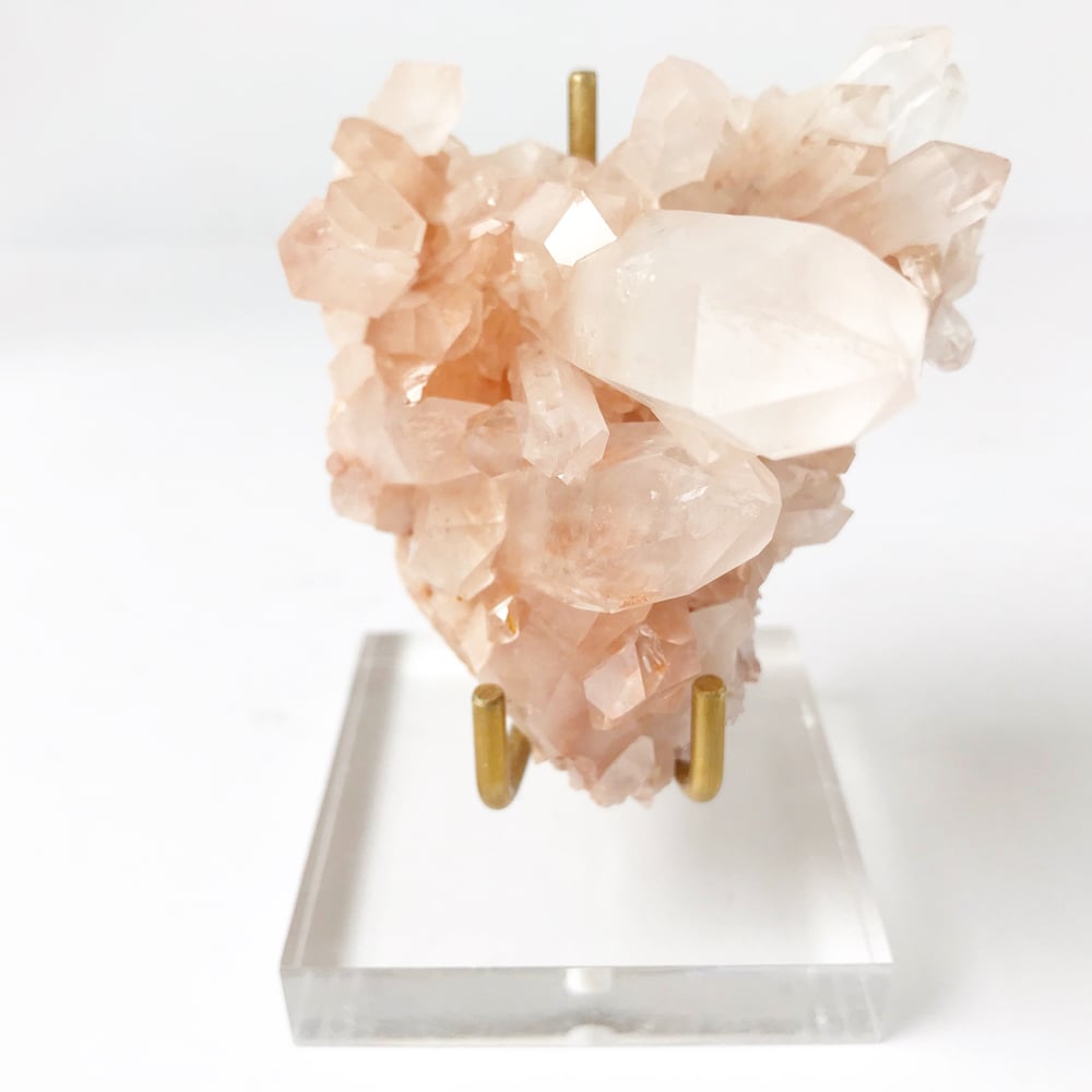 Image of Pink Quartz no.06 Sea Siren Collection Lucite Pairing