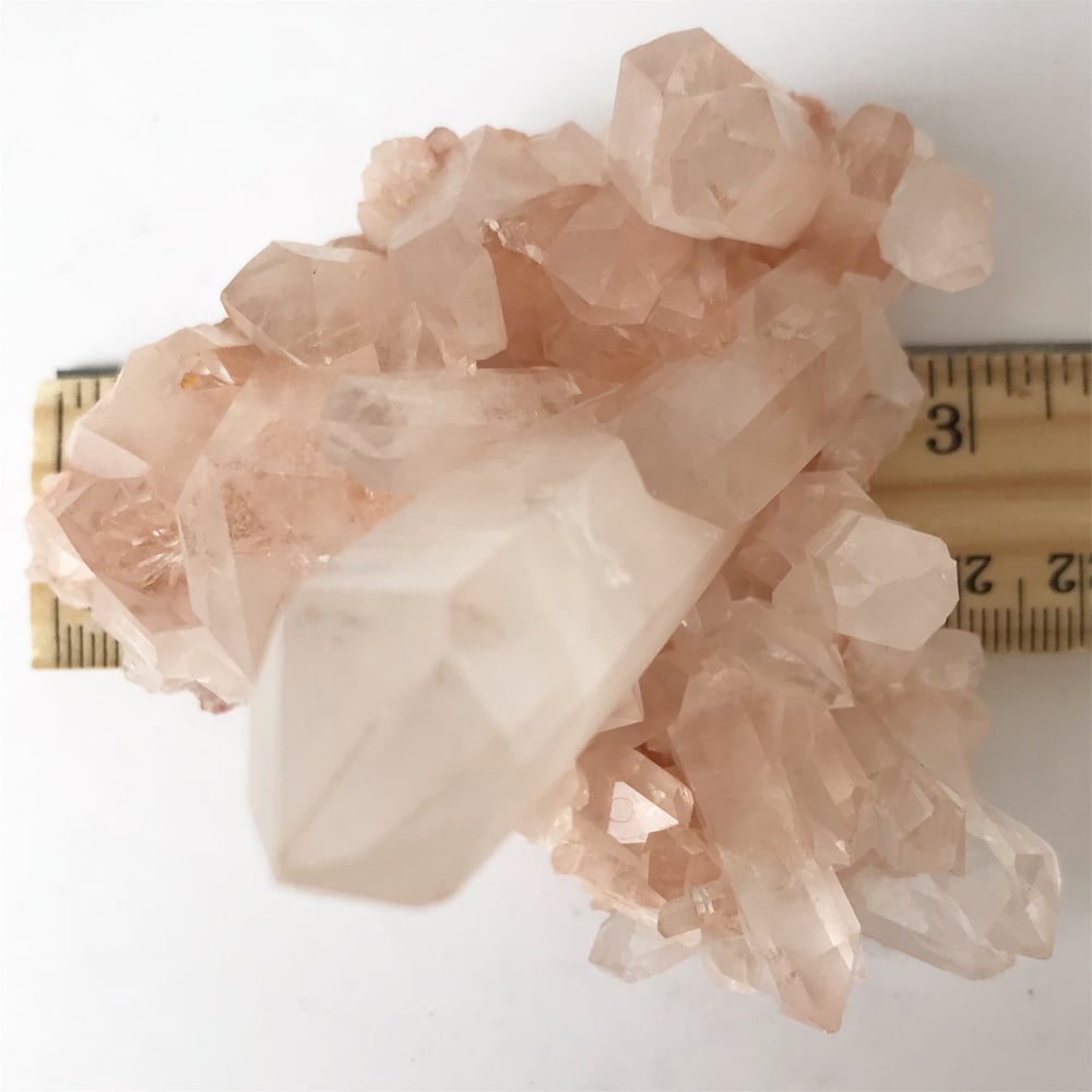 Image of Pink Quartz no.06 Sea Siren Collection Lucite Pairing