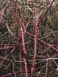 within the pinecone, i take rest / Puzzle Edition with Print