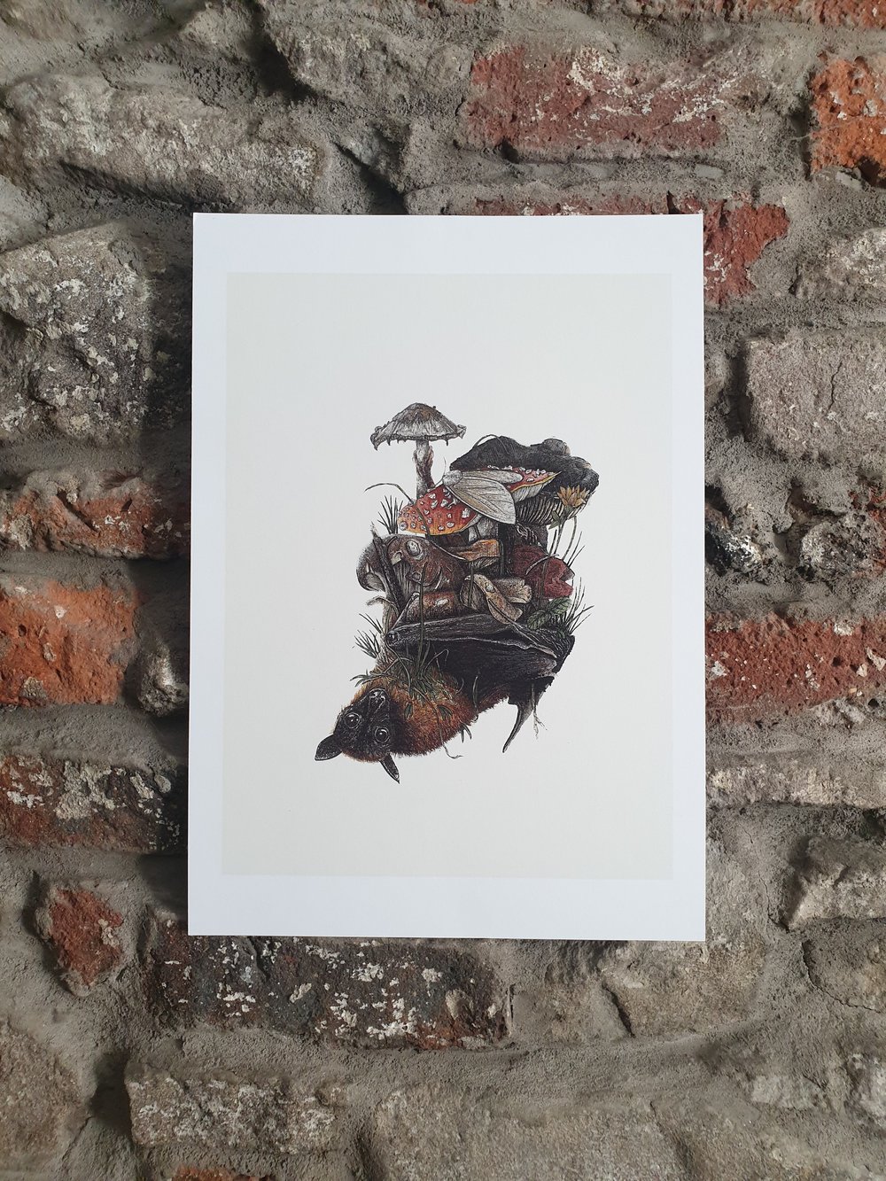 Image of Mushroom Bat