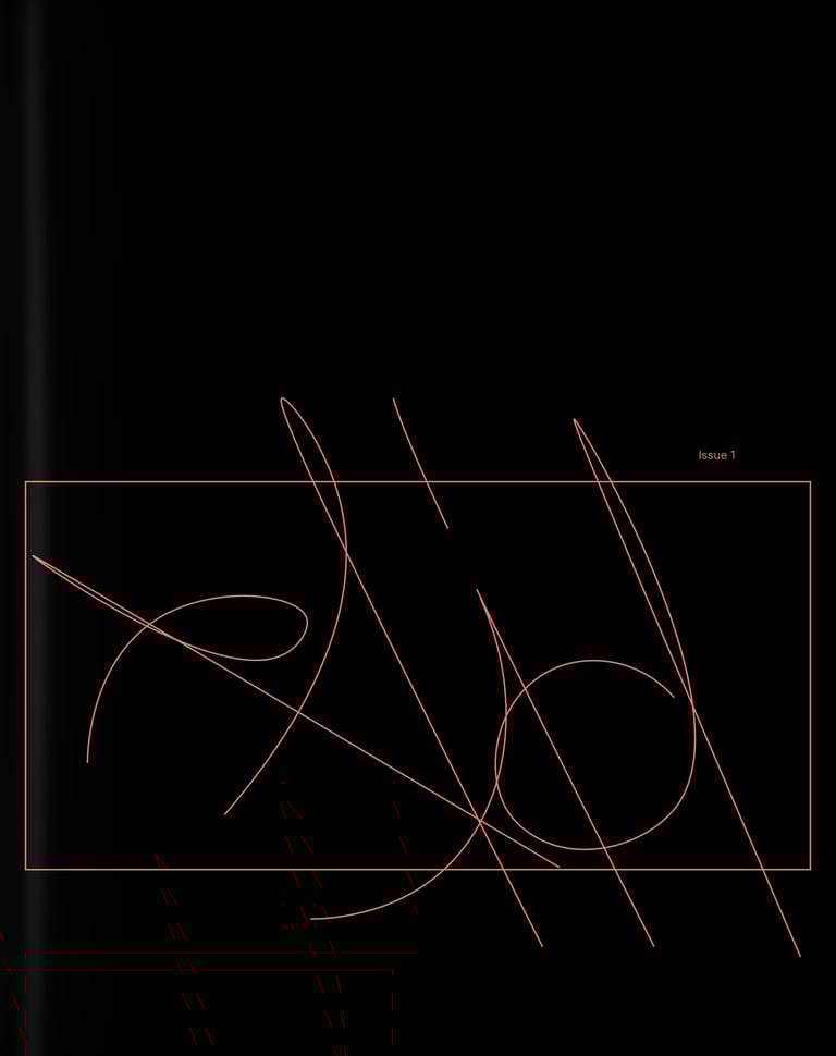 RAID v1