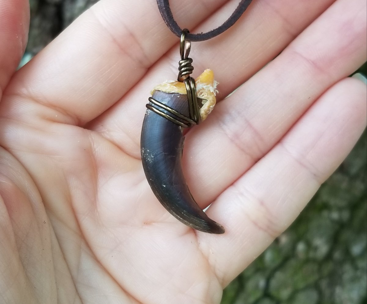 Image of Wolf Claw Necklace