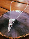 Dead Crow Necklace