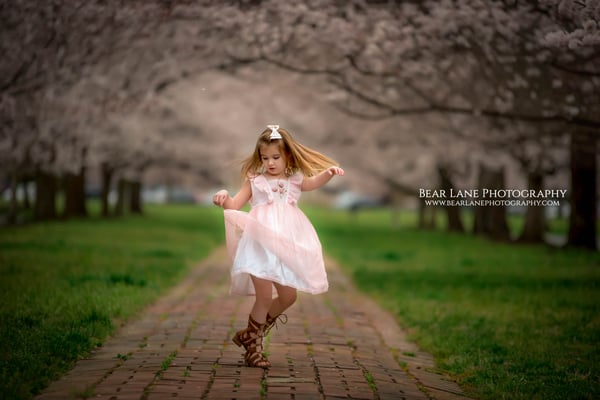 Image of Cherry Blossom Mini Sessions