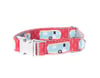 Roughing It - Dog Collar