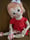 Image of Leighann, 33” Pink Haired Toddler