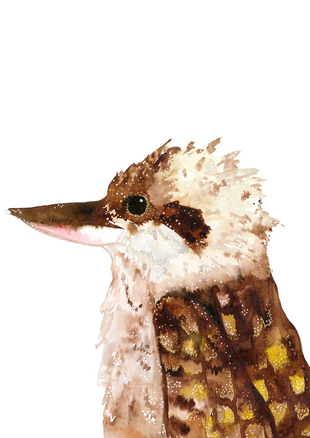 Image of Kookaburra