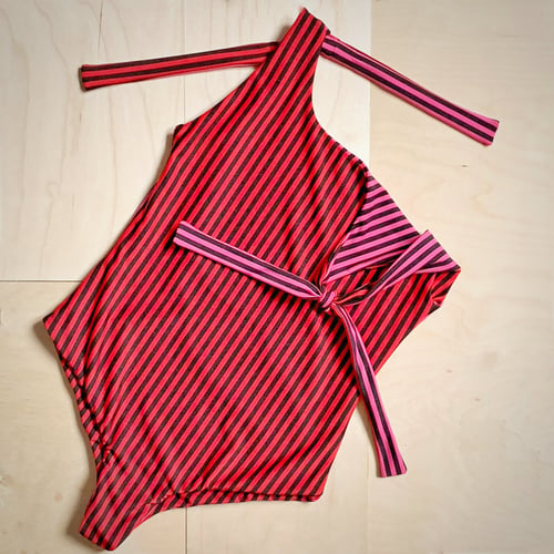 Image of Raspberry Swimdress 