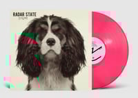 Image 1 of Radar State - Strays